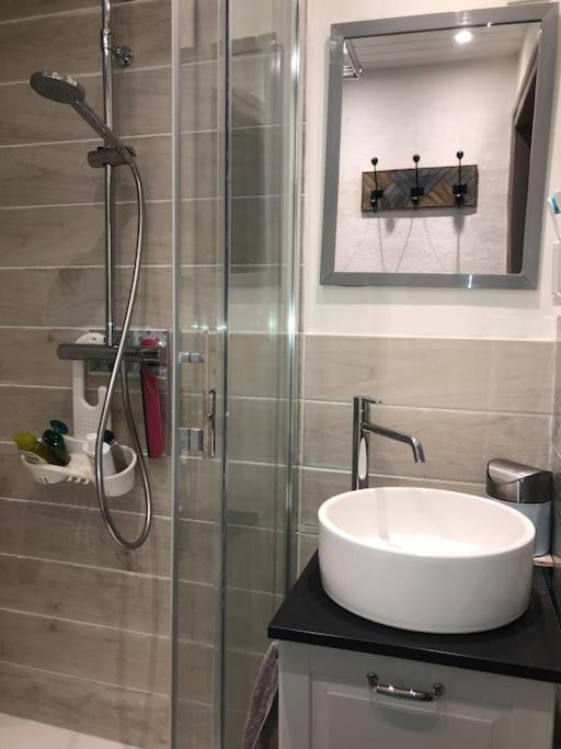 L'Omerade: Appartement De Charme Dans Une Maison Audomaroise Saint-Omer  Dış mekan fotoğraf