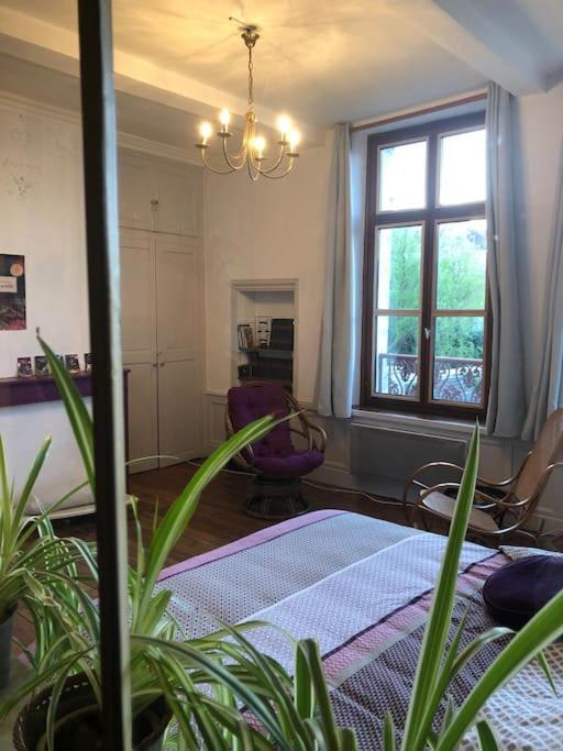 L'Omerade: Appartement De Charme Dans Une Maison Audomaroise Saint-Omer  Dış mekan fotoğraf