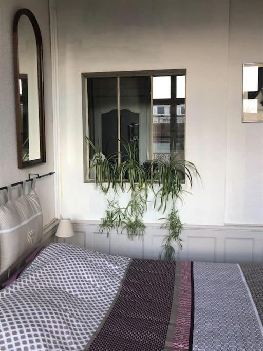 L'Omerade: Appartement De Charme Dans Une Maison Audomaroise Saint-Omer  Dış mekan fotoğraf